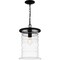 Quoizel Noland Outdoor Hanging 1 Light Matte Black NAD1910MBK - alternate 1